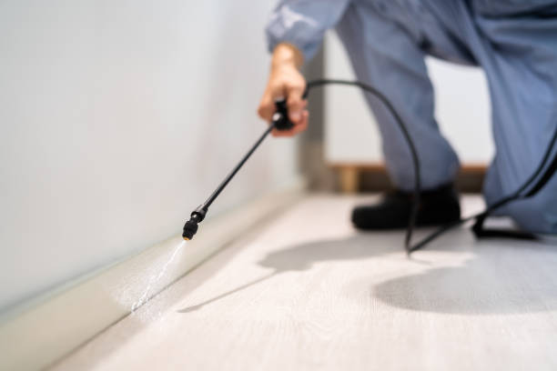 Rodent Entry Point Assessment in Richland