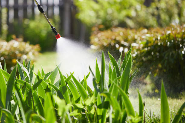 Tamper-Resistant Bait Stations for Rodents in Richland