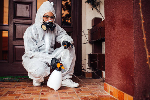 Attic and Crawl Space Rodent Treatment in Richland