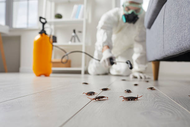 Commercial Rodent Management in Richland